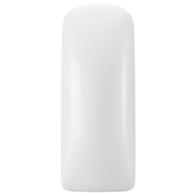 Blush Ivory Blush Ivory